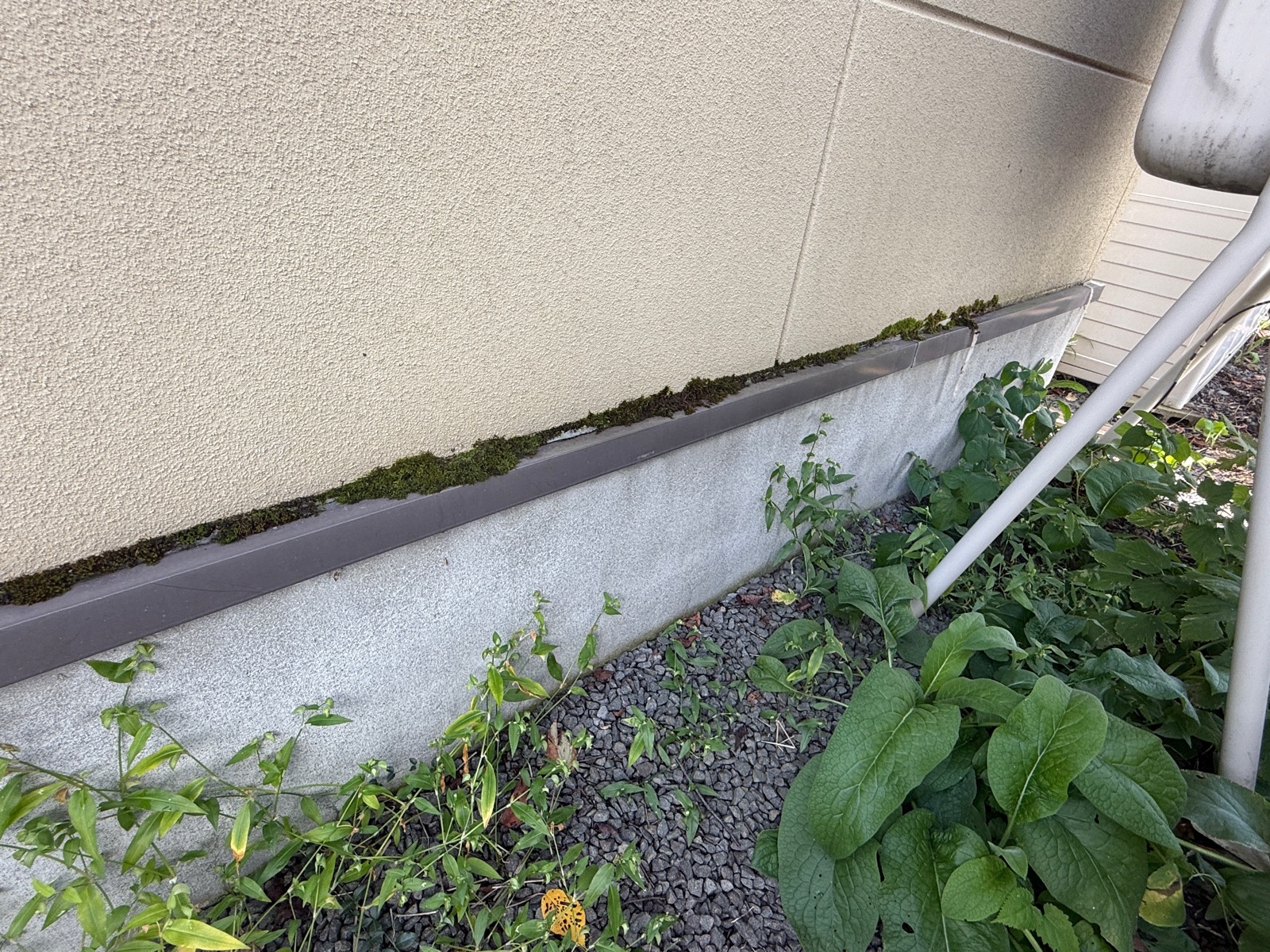 旭川市W様
